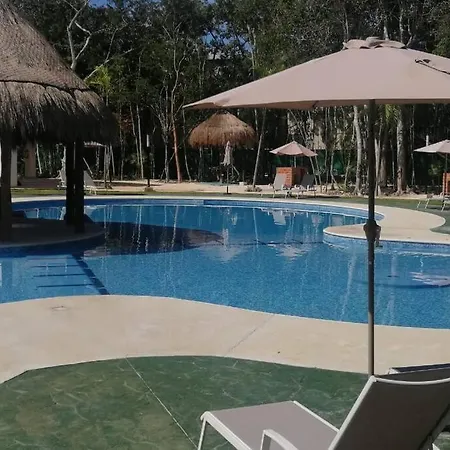 Departamento Bonito Y Comodo Con Alberca Planta Baja